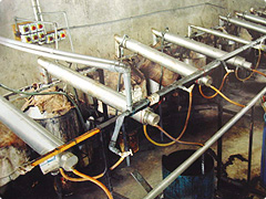 写真:特殊蒸留機による蒸留